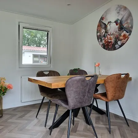 Veluwe - Comfortable With Sunny Garden Nunspeet