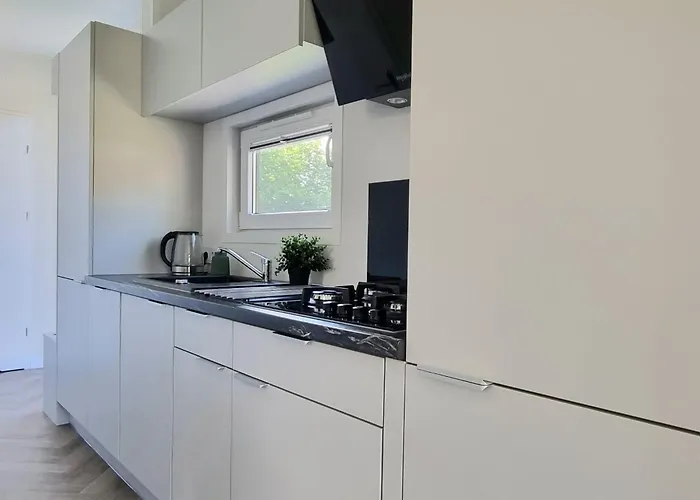 Veluwe - Comfortable With Sunny Garden Chalet Nunspeet