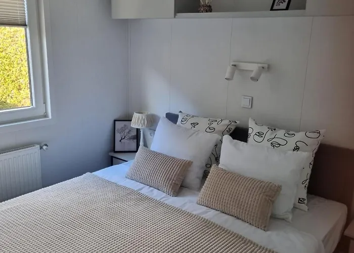 Veluwe - Comfortable With Sunny Garden Nunspeet